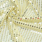 Dot Sequins On Metallic Mesh Fabric