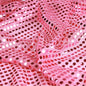 Dot Sequins On Metallic Mesh Fabric
