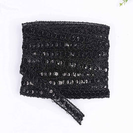 20 Yards Trish Sequin Metallic Braid Trim 7/8 Inch - Black
