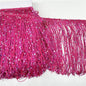 5 Yards Hoogram Sequin Chainette Tassel Fringe Trim 6 Inch