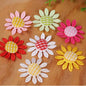 daisyflower062501